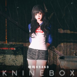 KS463 When you try your best, but you dont succeed